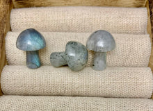 Load image into Gallery viewer, Labradorite